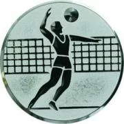 Вставка для медалей D1 A6 25 мм волейбол Фото Вставка для медалей D1 A6 25 мм волейбол со склада магазина Спортев