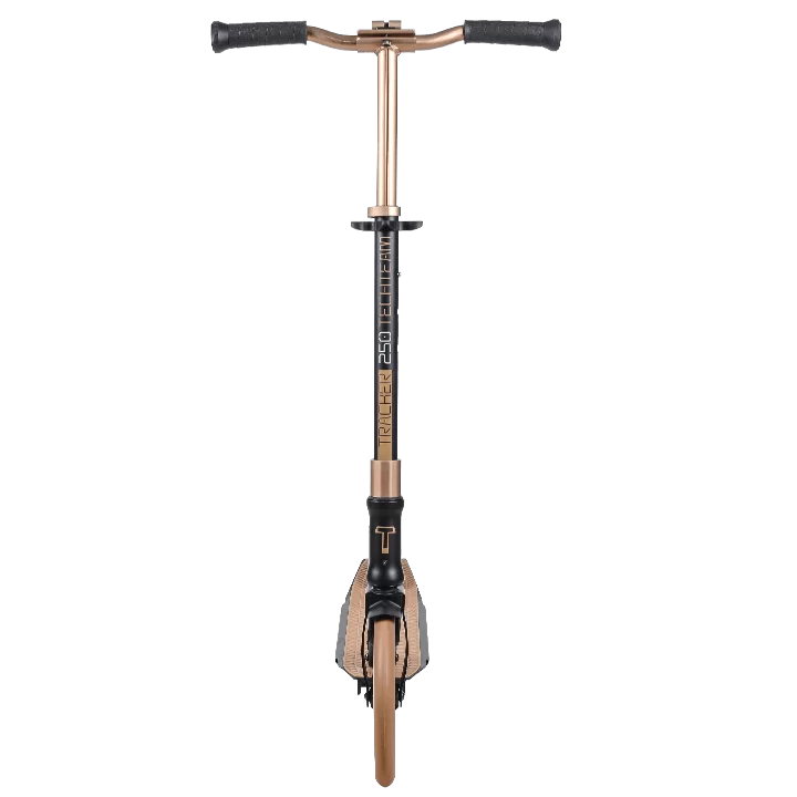 Самокат TechTeam Tracker 250 (2021) brown Фото Самокат TechTeam Tracker 250 (2021) brown со склада магазина Спортев