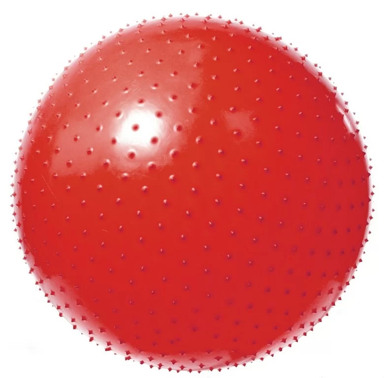 Мяч массажный 65 см Hawk Gym Ball HKGB801 Фото Мяч массажный 65 см Hawk Gym Ball HKGB801 со склада магазина Спортев