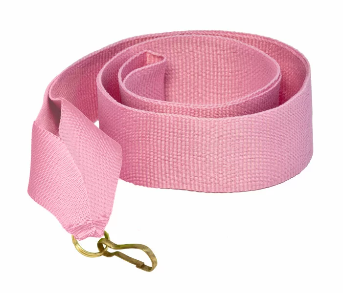 Лента 22 мм V2-Pink розовая Фото Лента 22 мм V2-Pink розовая со склада магазина Спортев