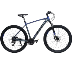Велосипед BOZGOO Grande 29" мокр.асфальт/св.серый 26586 Велосипед BOZGOO Grande 29" мокр.асфальт/св.серый 26586