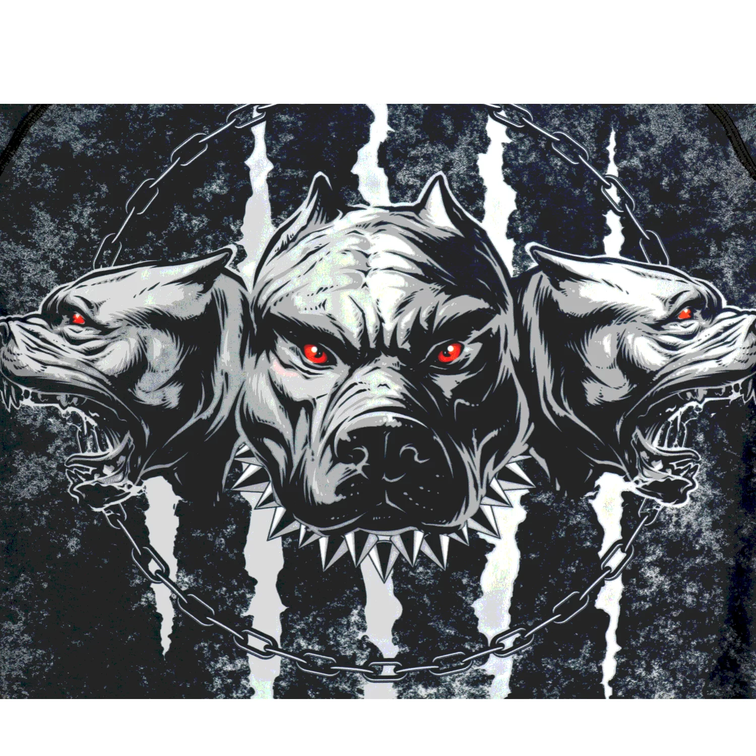 Рашгард Rusco Sport Cerberus MMA взрослый 1852 Фото Рашгард Rusco Sport Cerberus MMA взрослый 1852 со склада магазина Спортев