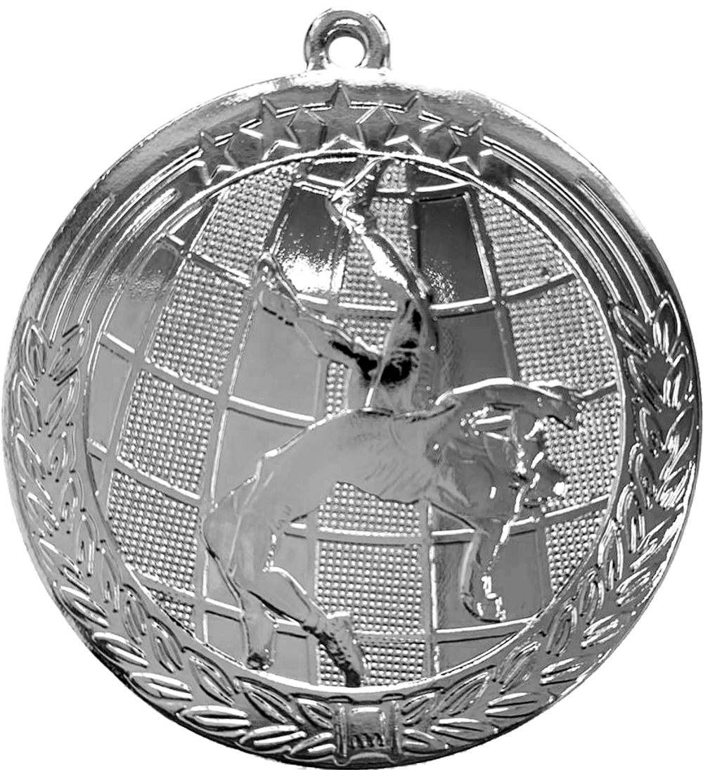 Медаль АТ602 d-60 мм Фото Медаль АТ602 d-60 мм со склада магазина Спортев